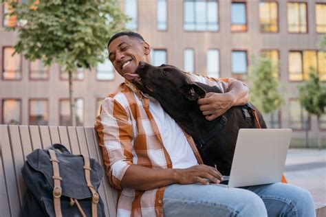 Metlife Pet Insurance Review Great Pet Care Metlife Pet Insurance Review Great Pet Care